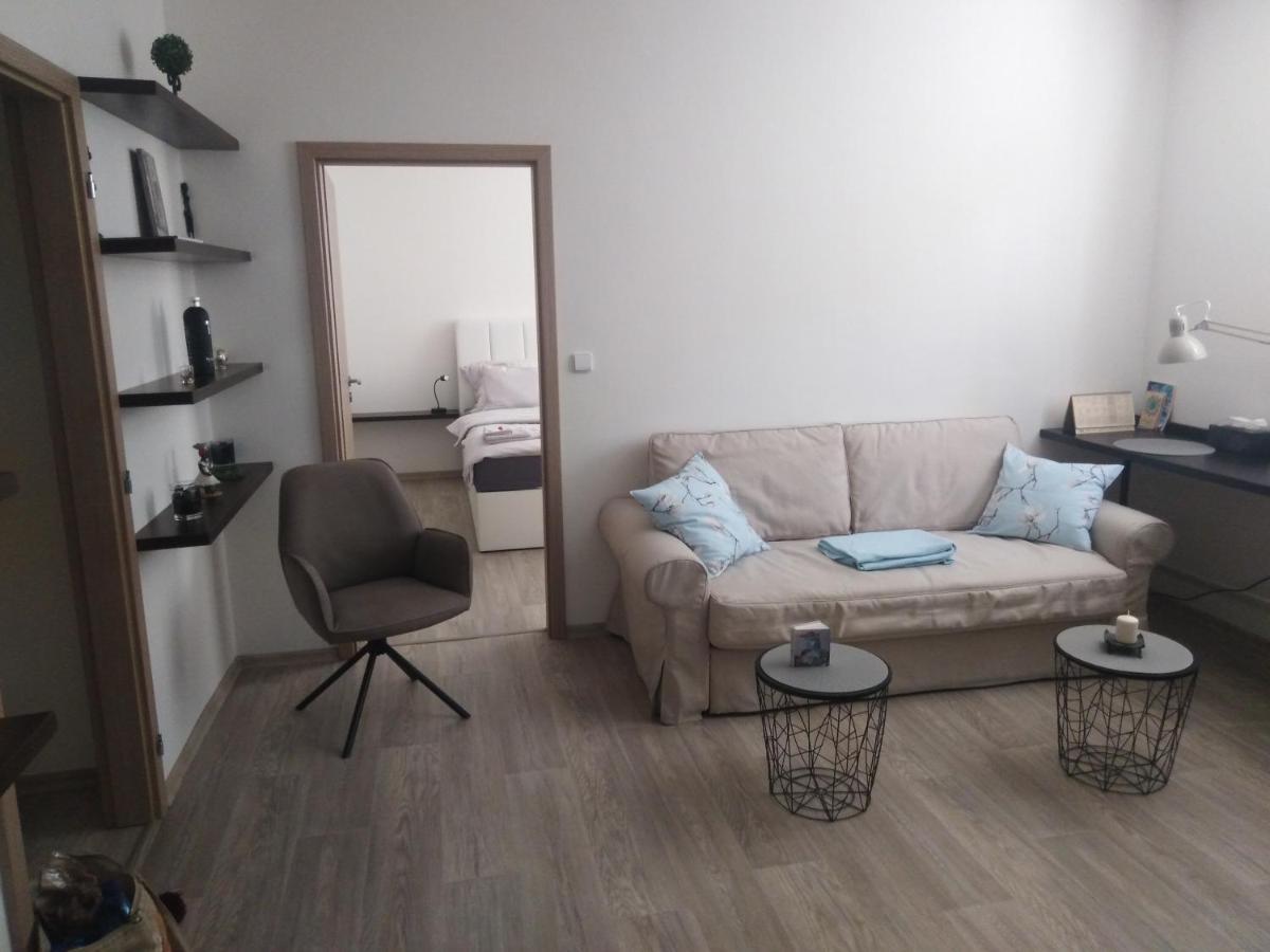 Academic Apartment ブルノ エクステリア 写真