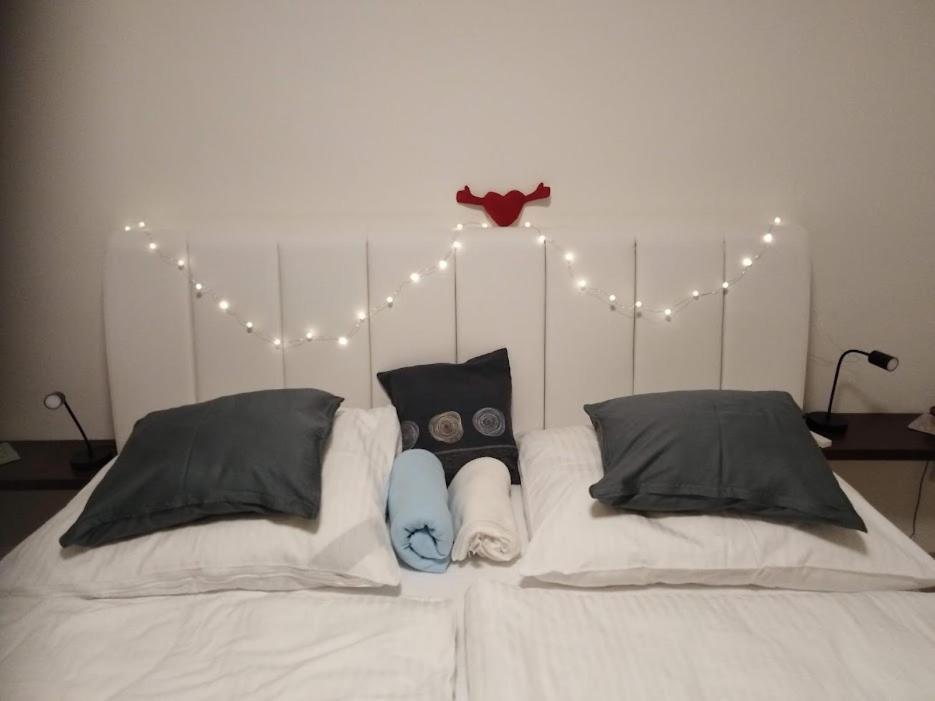Academic Apartment ブルノ エクステリア 写真